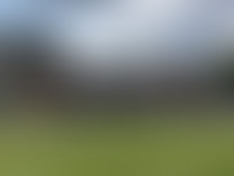 The Heartbeat of Cricket. Exploring the Magic of the Cricket Ground.