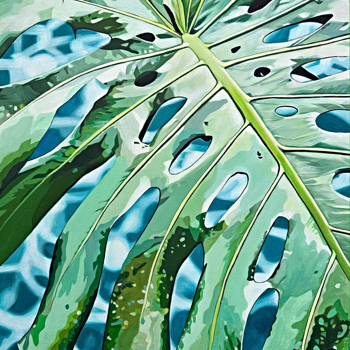 MONSTERA 2