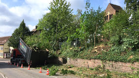 Ein LKW entlädt Äste an der Straße, Bäume und Gebäude im Hintergrund.