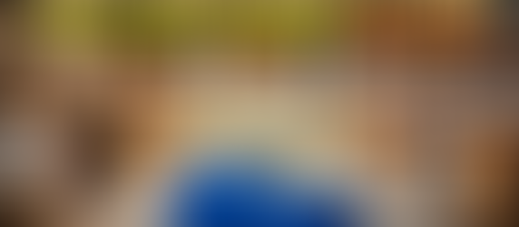 Vacuum Packing Machine