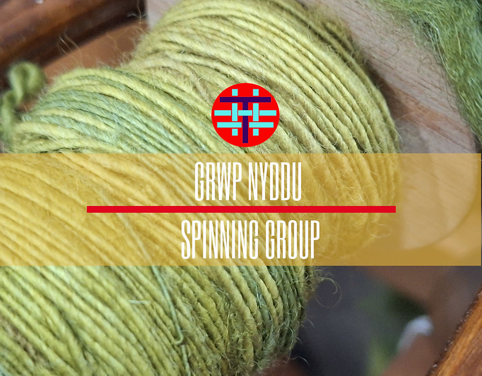 Grŵp Nyddu / Spinning Group
