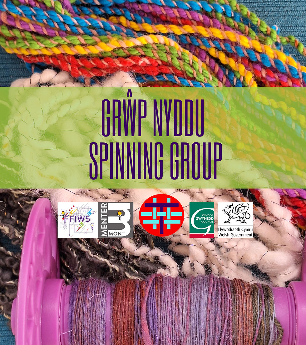 Grŵp Nyddu / Spinning Group