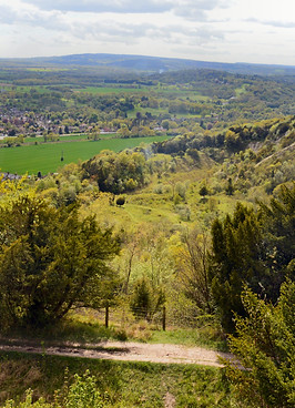 View_of_Brockham_Lime_Works,_Box_Hill.jpg
