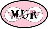mur-1-1_edited.jpg