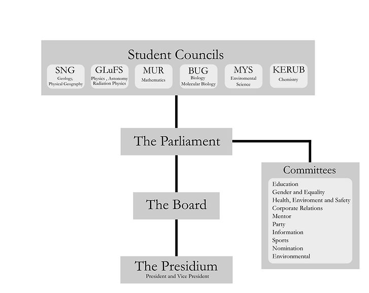 basic_structure_new_edited.jpg