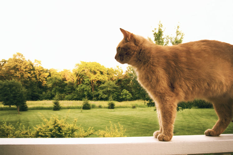 Unmask - 5_edited.jpg