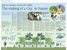 Biodiversity in the city: TEE Lab research featured in The Straits Times