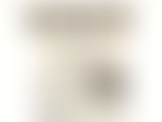 MEET FOCUSES ON NRI PROBLEMS