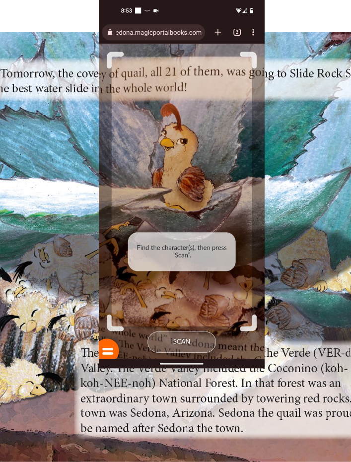 Phone scanning the Sedona book