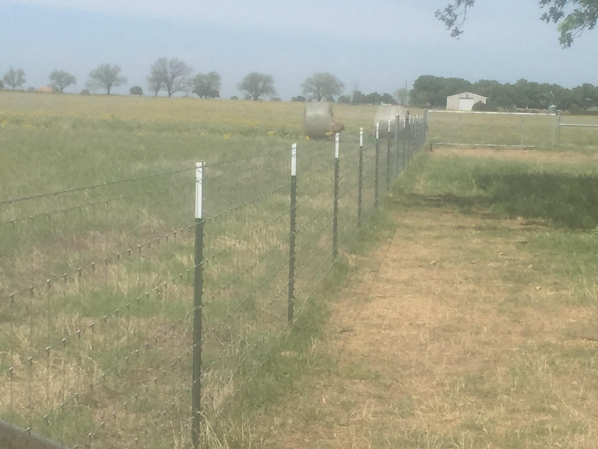 Fencing At Fleet Farm - 1lk44mk