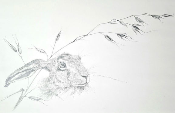 Hare with Grass 2 