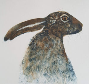 Hare 4 resized.jpg