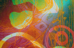 DSCN6115.jpg