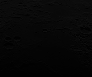 Moonbitcoincash - GIF.gif