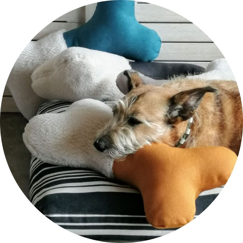 Hundekissen BONE Gelb