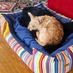 Design ohne Titel (33).jpg