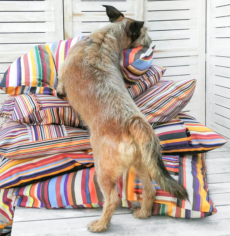 Miniaturbild: Hundekissen Kissen Outdoor Grösse S–L Collore