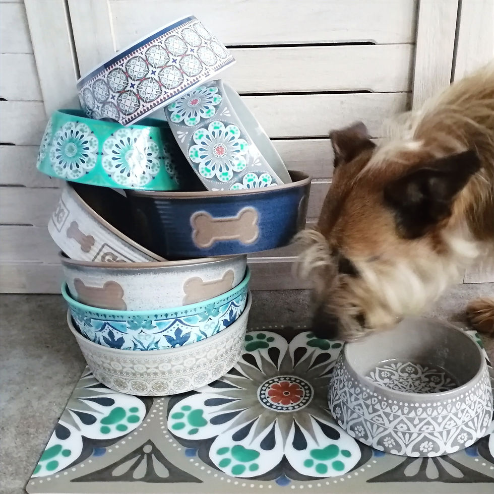 Melanin Hunde und Katzen Napf