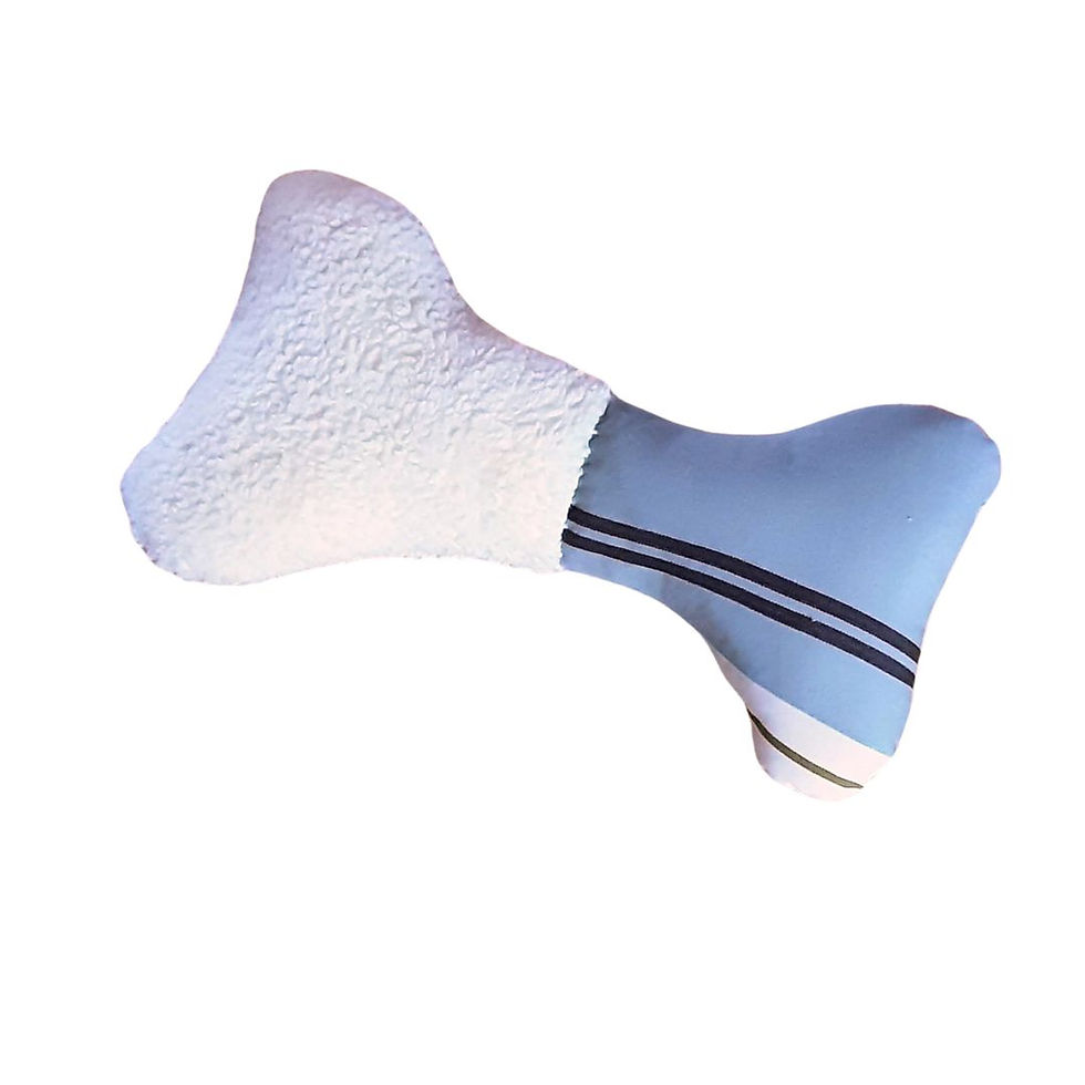 Miniaturbild: Hundekissen Funny Bone