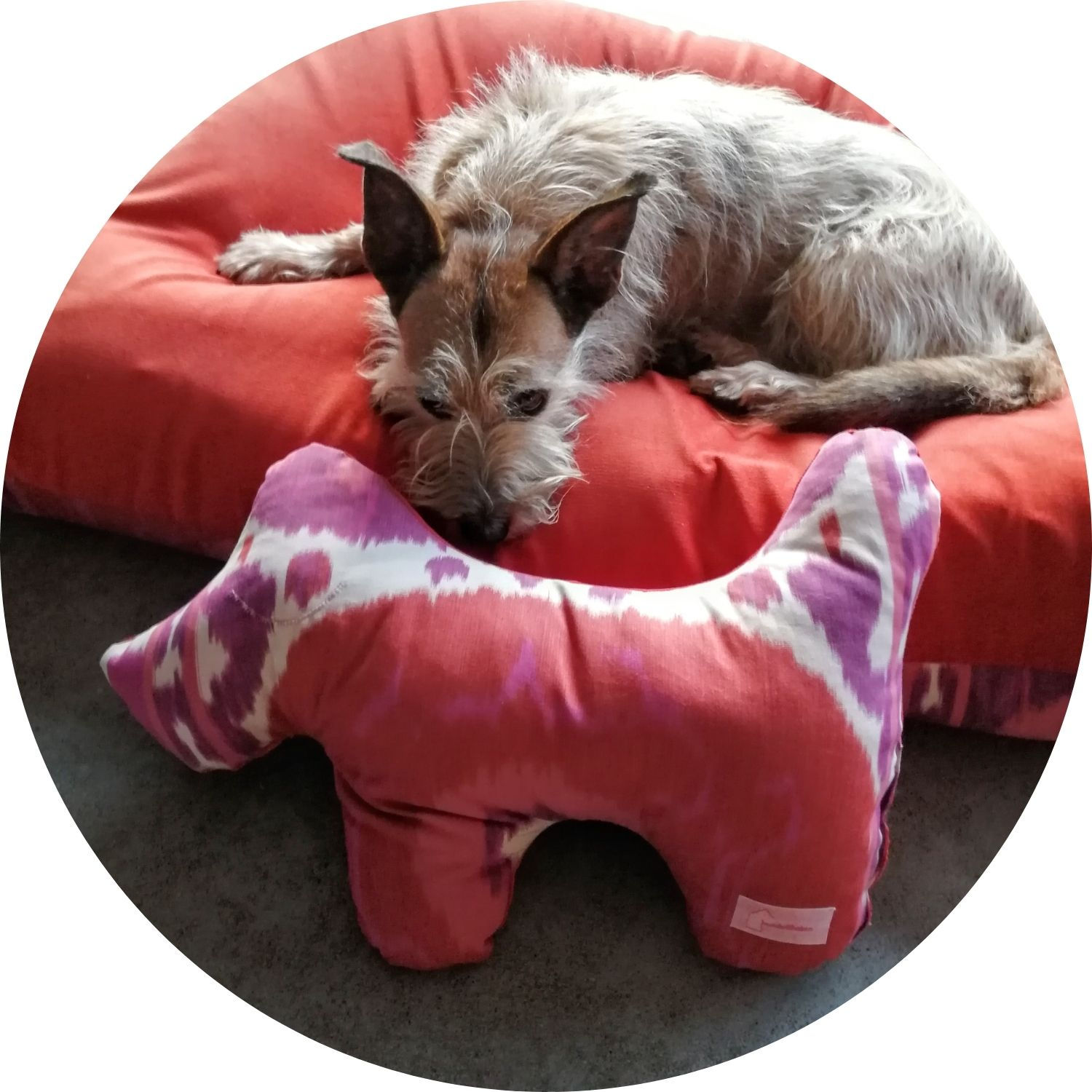 Hundekissen Bunter Hund Baumwolle