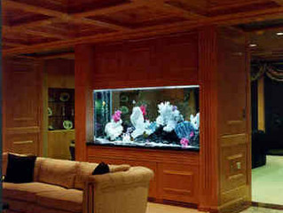Choosing a Location for a Custom Aquarium Design