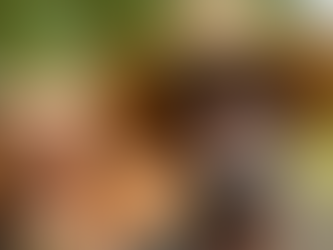 Le Nouvel Empire Énergétique : Pourquoi l’Afrique Peut Devenir la Superpuissance Verte du XXIe Siècle