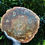 Thumbnail: Petrified Wood Madagascar