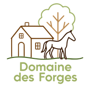 LOGO_DDF_VF_Transparent.png