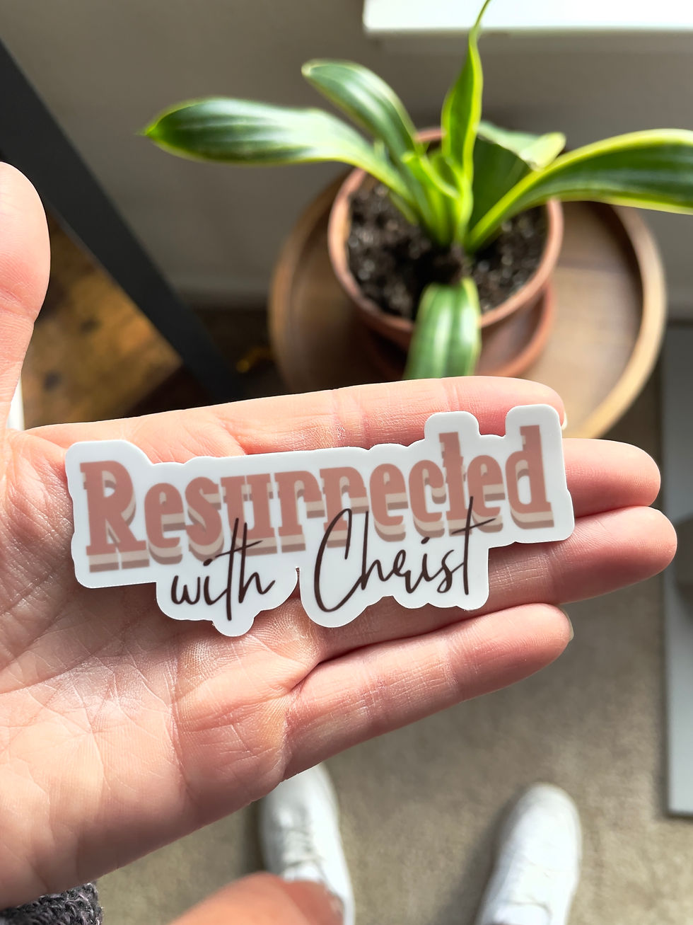 Thumbnail: Resurrected with Christ