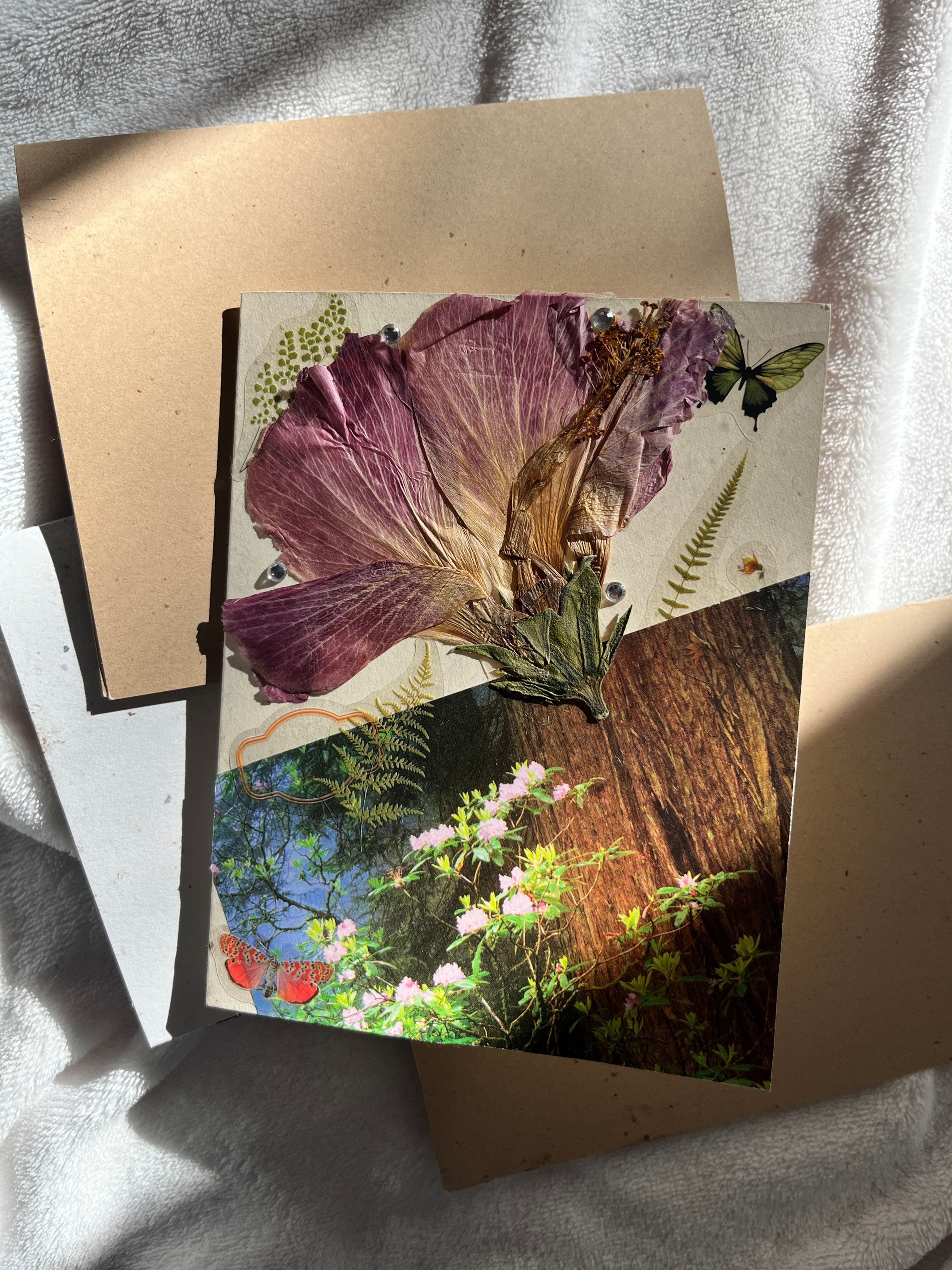 Dried Hibiscus Card