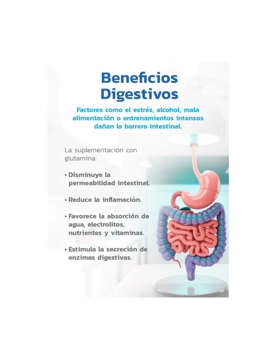 Miniatura: ESS Glutamina 500 g 100 Serv | L-Glutamina para Recuperacion y Rendimiento