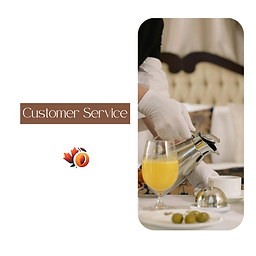 Customer Service Course