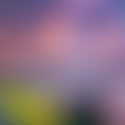 Local Government Security - Protective Security Requirements.