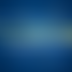 Investing in Your Security: Why TCO and ROI should guide your security procurement