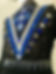 BHE Royal & Black Overlay Bolero Vest.jpg