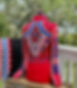 BHE American Beauty vest_edited.jpg