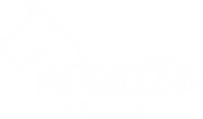 White dog outline with Venatio Cane Corso text logo.