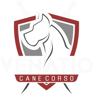 Venatio Cane Corso logo with a dog silhouette and sword, red shield.