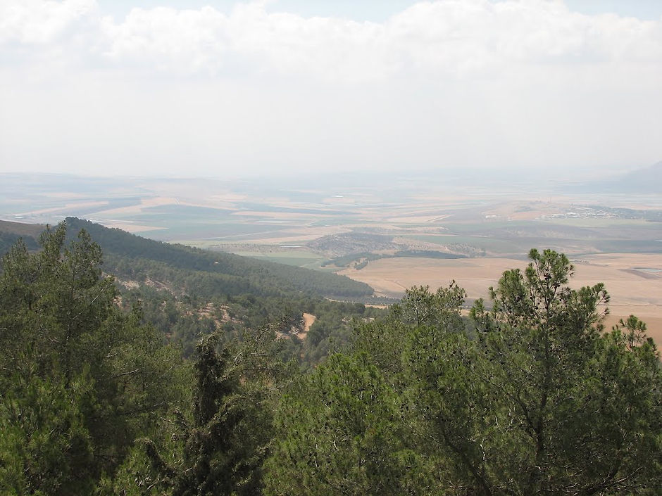 afula illit 9.jpeg
