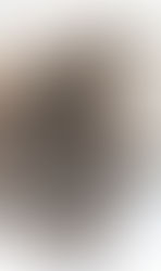 Psalmopoeus reduncus 2nd eggsac 2023