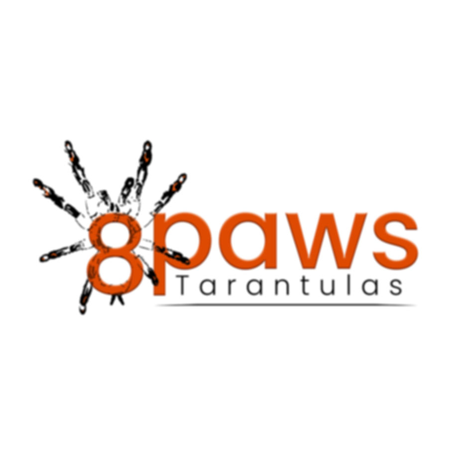 Miraculous Mystery Box