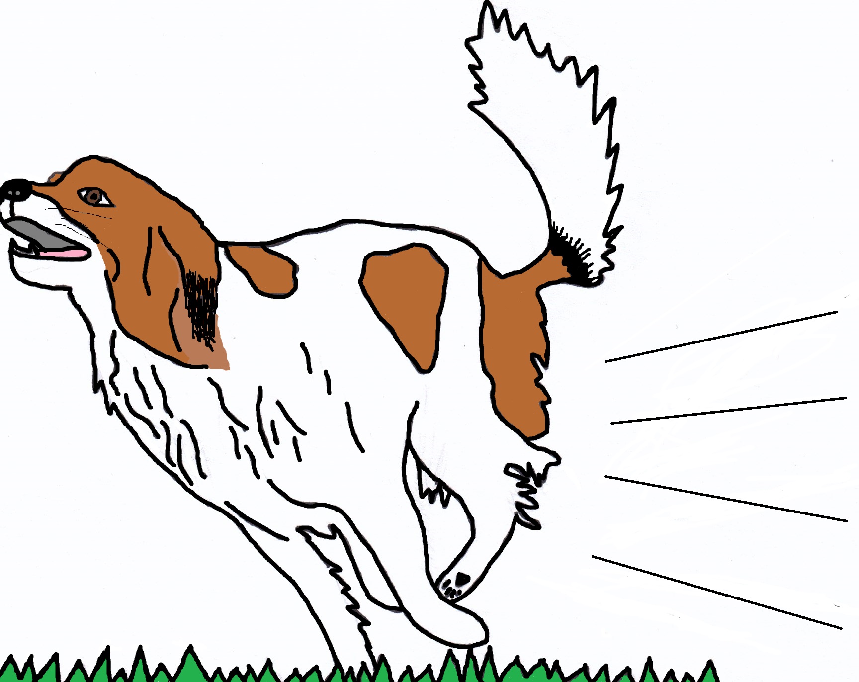 Confident Canines LLC logo