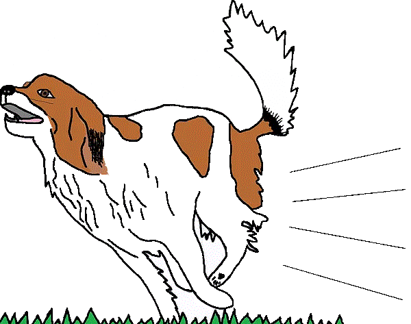 Confident Canines Dog Training logo