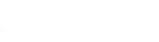 logo andy (1).png