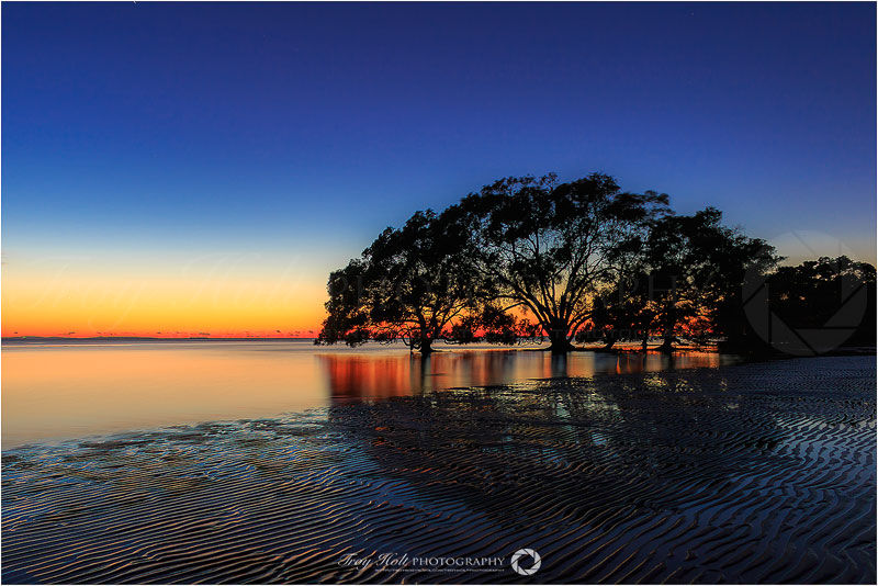 Nudgee Glow