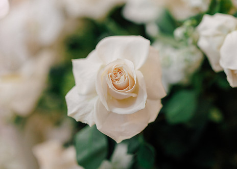 DIANA + LUC-107.jpg