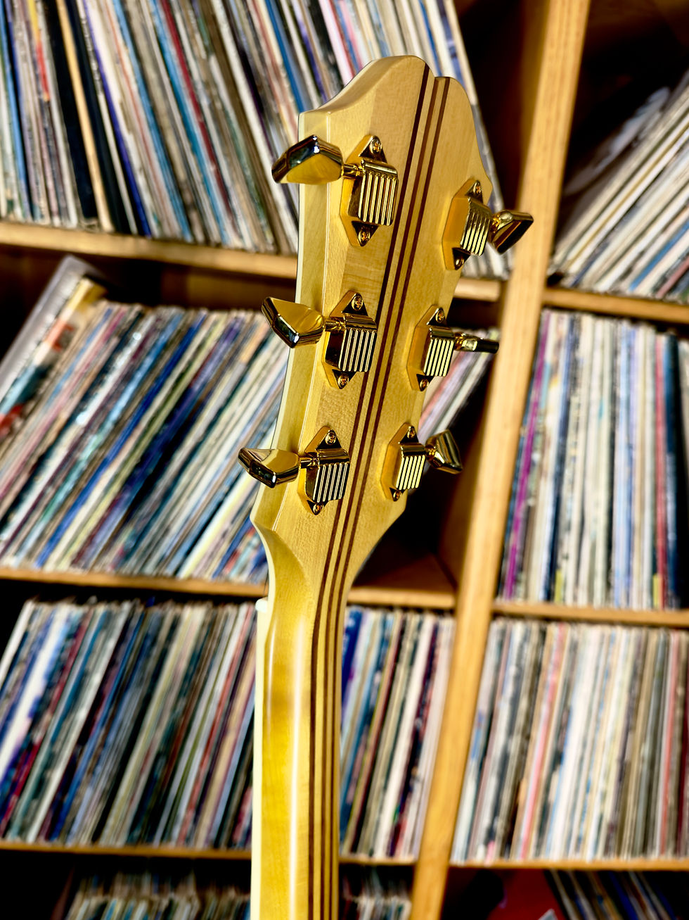 Thumbnail: 2020 Epiphone Masterbuilt Excellente | Re-Issue | The Real Icon of Dreadnoughts