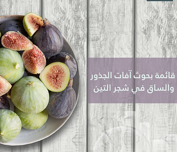 البحوث العلمية العربية في النصف  الأول من 2012 