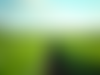 Discover Organic Certified managed Farmland for sale near chennai | Investment Opportunities in Chennai