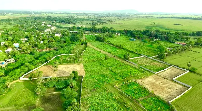 Eye-level view of a spacious weekend farmhouse surrounded by lush farmland near Chennai